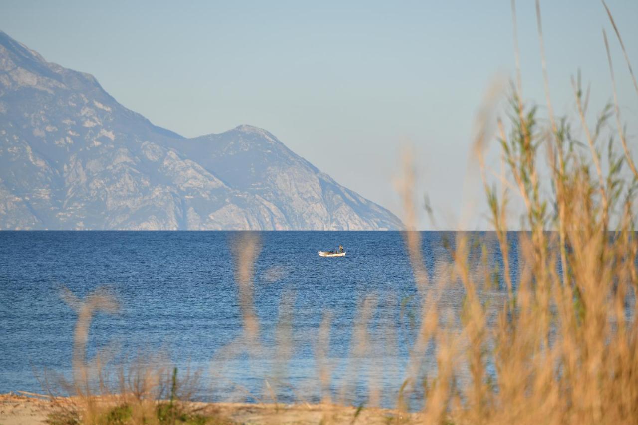 Villa Menie - Golden Fig Sykia Lodge Paralia Sikias Exteriör bild